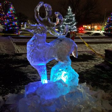 Christmas Tree Lighting – Friday, December 13th