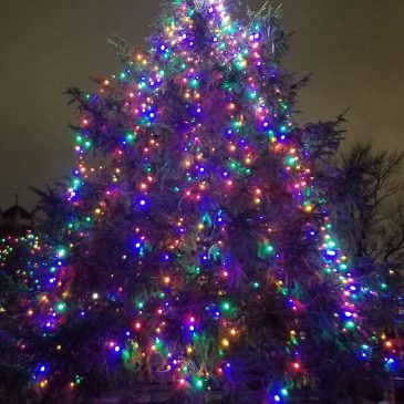 The Christmas Tree Lighting is this Friday